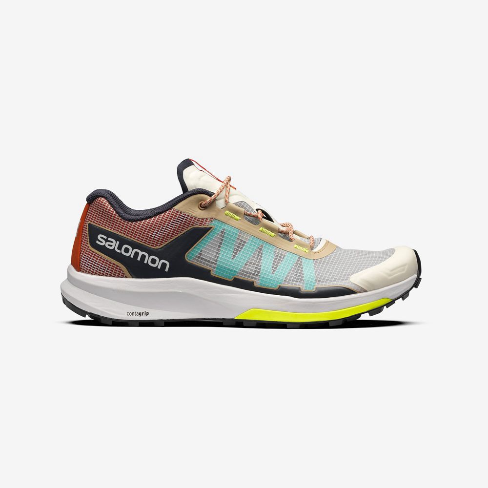 Salomon ULTRA RAID Zapatillas Hombre - Multicolor - Colombia (21493-PIXR)